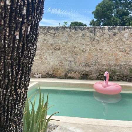 La Casa Rosal, Pool Villa Campeche Eksteriør bilde