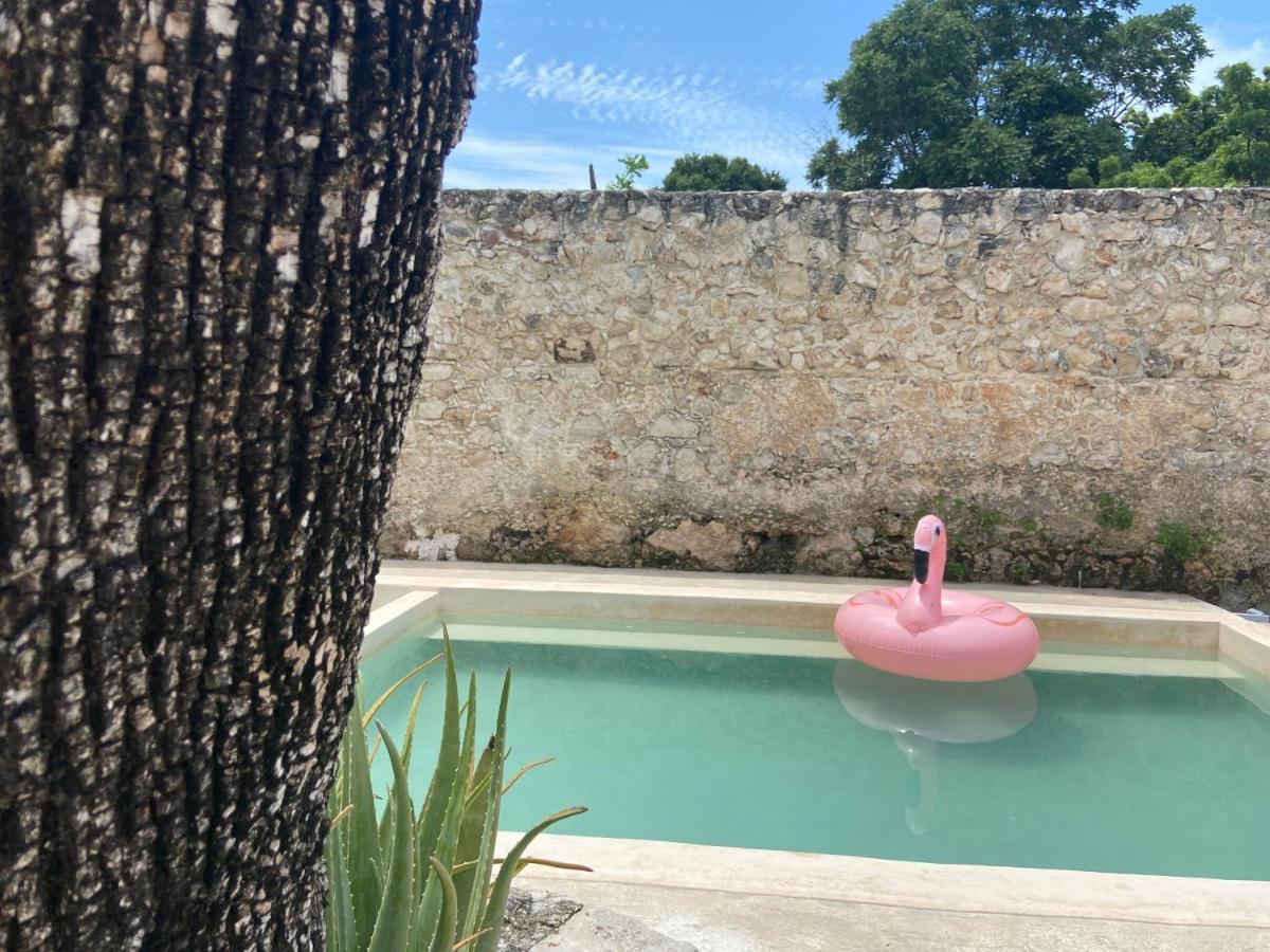 La Casa Rosal, Pool Villa Campeche Eksteriør bilde